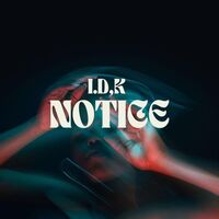 Thumbnail for the IDK - Notice!!! ((Official Audio)) link, provided by host site