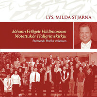 Thumbnail for the Sigvaldi Kaldalóns - Nóttin var sú ágæt ein link, provided by host site