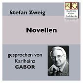 Thumbnail for the Stefan Zweig - Novellen link, provided by host site