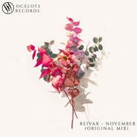Thumbnail for the Reivax - November link, provided by host site