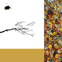 Thumbnail for the Kain - november weather link, provided by host site