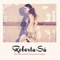 Thumbnail for the Roberta Sá - Novo Amor link, provided by host site