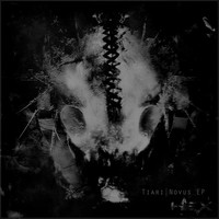 Image of Tiari linking to their artist page due to link from them being at the top of the main table on this page