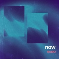 Thumbnail for the Ruido - now link, provided by host site