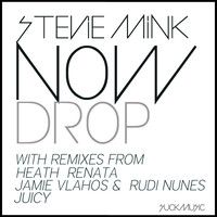 Thumbnail for the Stevie Mink - Now Drop link, provided by host site