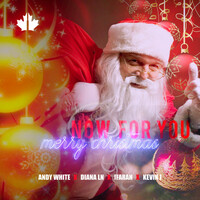 Thumbnail for the Andy White - Now for You - Merry Christmas link, provided by host site