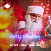 Thumbnail for the Andy White - Now for You - Merry Christmas link, provided by host site