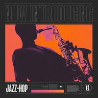 Thumbnail for the Marc JB - Now Introducing - Lo-fi Jazz Hop 2 link, provided by host site