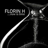 Thumbnail for the Florin H - Now Is Time link, provided by host site
