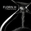 Thumbnail for the Florin H - Now Is Time link, provided by host site