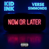 Thumbnail for the Kid Ink - Now Or Later link, provided by host site