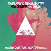 Thumbnail for the Sean Finn - Now or Never link, provided by host site