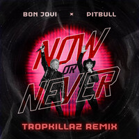 Thumbnail for the Pitbull - Now Or Never (TropKillaz Remix) link, provided by host site