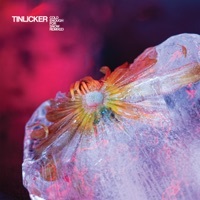 Thumbnail for the Tinlicker - Nowhere To Go [Chris Liebing Remix] link, provided by host site