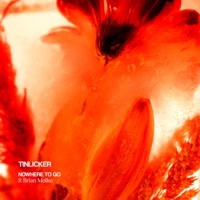 Thumbnail for the Tinlicker - Nowhere To Go [Single Edit] link, provided by host site
