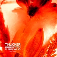 Thumbnail for the Tinlicker - Nowhere To Go [Single Version] link, provided by host site
