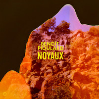 Thumbnail for the Benoît Pioulard - Noyaux link, provided by host site