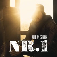 Image of Adrian Stern linking to their artist page due to link from them being at the top of the main table on this page