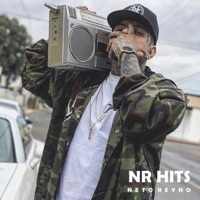 Thumbnail for the Neto Reyno - Nr Hits link, provided by host site