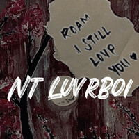 Thumbnail for the ROAM - Nt LuvrBoi link, provided by host site