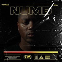 Thumbnail for the Torrian Ball - Numb link, provided by host site
