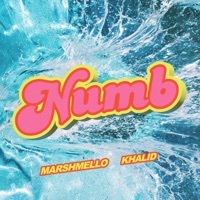 Thumbnail for the Marshmello - Numb link, provided by host site
