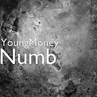 Thumbnail for the Young Money - Numb link, provided by host site