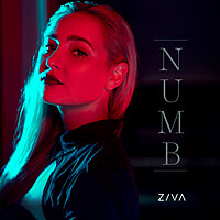 Thumbnail for the Ziva - Numb link, provided by host site