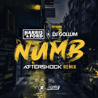 Thumbnail for the Harris & Ford - Numb (Aftershock Remix) link, provided by host site