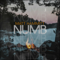 Thumbnail for the Matt Hammitt - Numb link, provided by host site