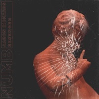 Thumbnail for the Essenger - Numb link, provided by host site