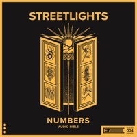 Thumbnail for the Street Lights - Numbers 30 link, provided by host site