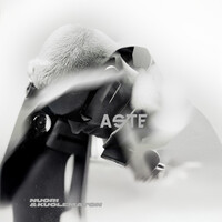 Thumbnail for the Aste - Nuori & kuolematon link, provided by host site