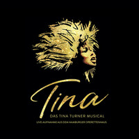 Thumbnail for the Trevor Jackson - Nutbush City Limits - Live link, provided by host site