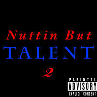 Thumbnail for the Talent - Nuttin' but Talent 2 link, provided by host site