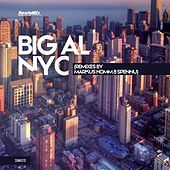 Thumbnail for the Big Al - Nyc link, provided by host site