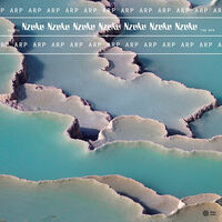 Thumbnail for the Arp - Nzuku link, provided by host site