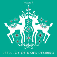 Thumbnail for the Stevan Pasero - O Holy Night - Ensemble with Guitar link, provided by host site