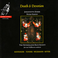 Thumbnail for the Franz Tunder - O Jesu dulcissime link, provided by host site