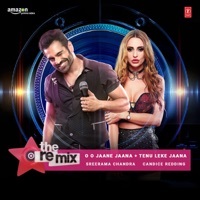 Thumbnail for the Sreerama Chandra - O O Jaane Jaana Tenu Leke Jaana - The Remix (From "the Remix - Amazon Prime Original Episode 3") link, provided by host site