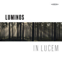 Thumbnail for the Tomás Luis de Victoria - O sacrum convivium (arr. S. Hannuksela for vocal ensemble) link, provided by host site