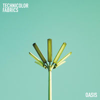 Thumbnail for the Technicolor Fabrics - Oasis link, provided by host site