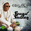 Thumbnail for the Sound Sultan - Obalola link, provided by host site