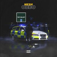 Thumbnail for the Mesh - Obbo link, provided by host site