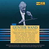Thumbnail for the Hansjorg Schellenberger - Oboe Concerto in C Major, Hob.VIIg:C1: II. Andante link, provided by host site