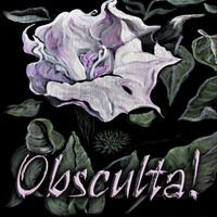 Thumbnail for the Haywire - Obsculta! link, provided by host site