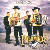 Image of Los Palominos linking to their artist page due to link from them being at the top of the main table on this page