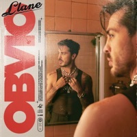 Image of Llane linking to their artist page due to link from them being at the top of the main table on this page