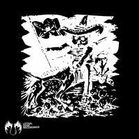 Thumbnail for the Algo - Occultum link, provided by host site