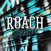 Thumbnail for the Roach - Ocean link, provided by host site